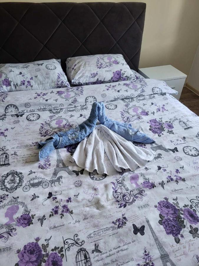 Centar_Park Apartment Arandjelovac Ngoại thất bức ảnh